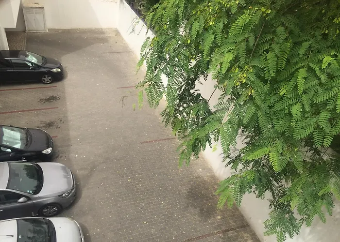 דירה Fisherman's